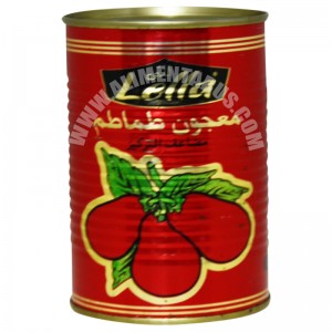 Tomato Paste Lella 400g X 24