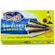 Sardines